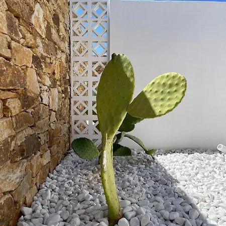 Apart Otel Kastro Antiparos Town