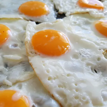 Kastro