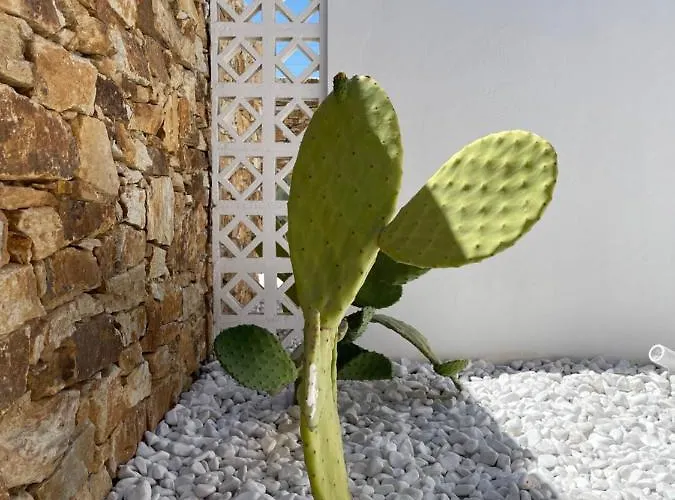 شقة فندقية Kastro Antiparos Town